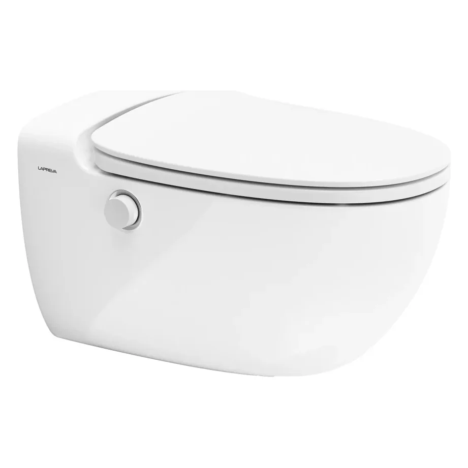 Dusch-WC